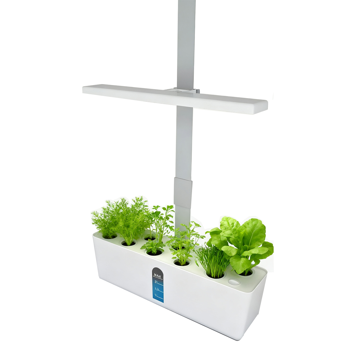 Smart Garden Domes - ระบบปลูกพืชไฮโดรโปนิกส์อัจฉริยะ พร้อมไฟ LED สำหรับปลูกในร่ม ตั้งเวลาอัตโนมัติ กระถางปลูกต้นไม้สำหรับบ้านและครัว