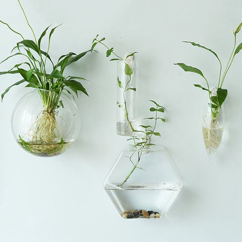 Hydroponic Grow Pod - กระถางปลูกพืชไฮโดรโปนิกส์แบบติดผนัง รูปทรงไม่ปกติ สำหรับตกแต่งบ้าน ตู้ปลา แจกันปลูกดอกไม้ กระถางดอกไม้