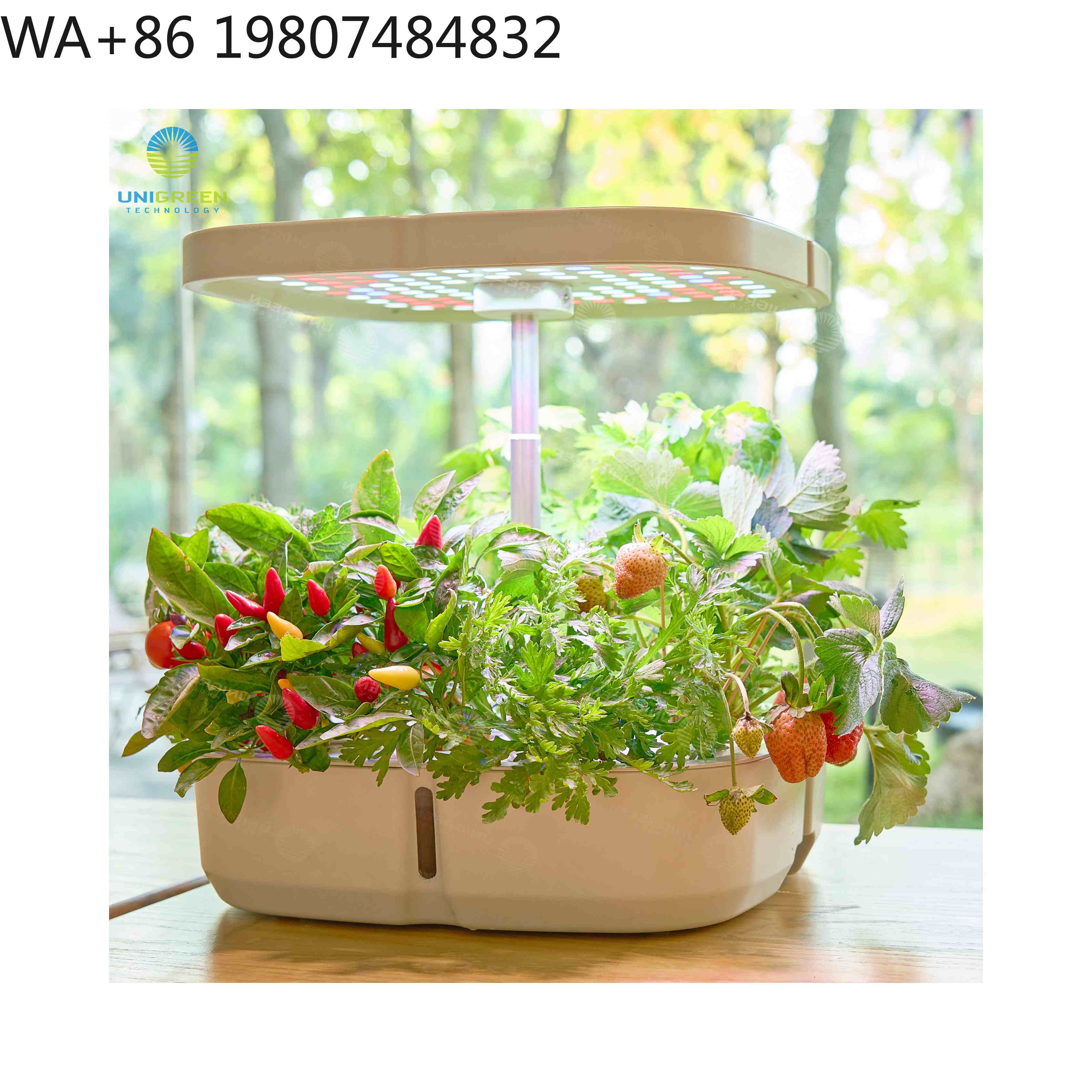 Hydroponic Grow Pod - กล่องปลูกพืชไฮโดรโปนิกส์ขนาดเล็ก 8 ช่อง พร้อมไฟ LED ปรับแสงได้แบบ