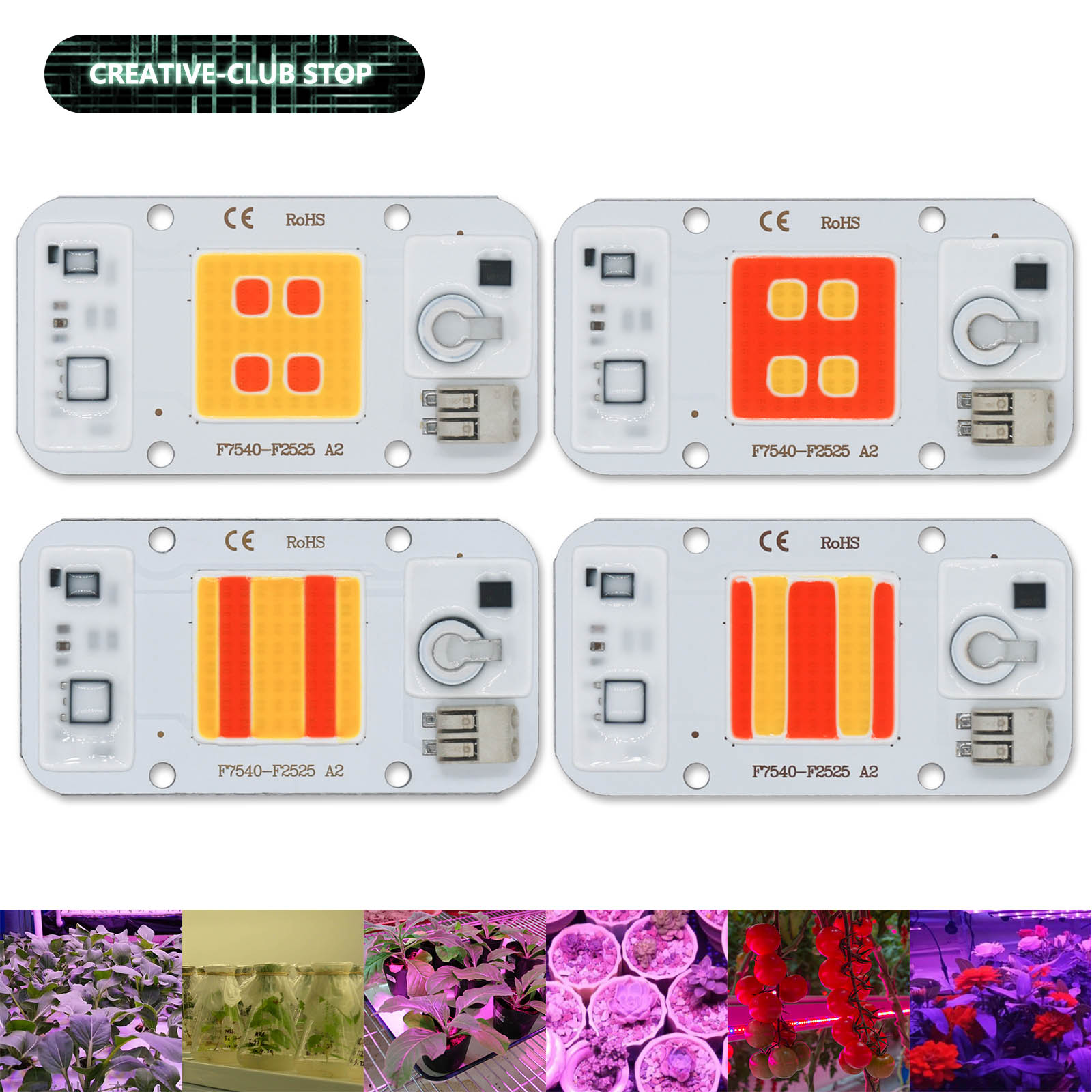 Plant Grow Light Full Spectrum - 50W LED COB ชิปเชื่อมฟรี 220V Phyto