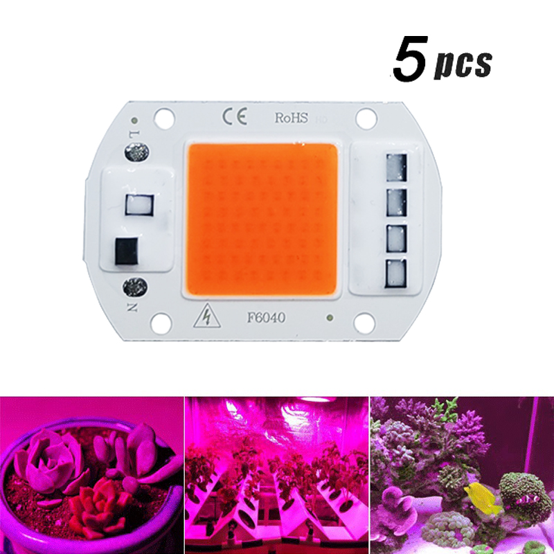 Plant Grow Light Full Spectrum - 5 ชิ้น LED Grow COB ชิปเต็มสเปกตรัม