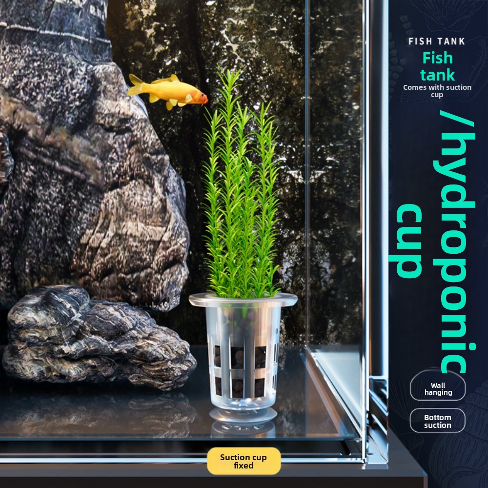 กระถางปลูกพืชแบบไฮโดรโปนิกส์ใส - Hydroponic Grow Pod บทวิจารณ์และราคา