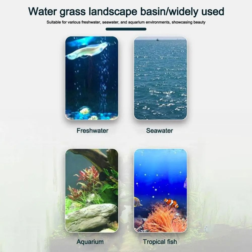 กระถางปลูกพืชแบบไฮโดรโปนิกส์ใส - Hydroponic Grow Pod บทวิจารณ์และราคา