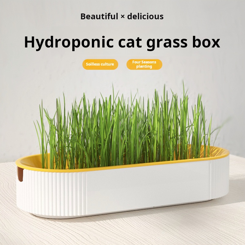 กล่องปลูกหญ้าแมวแบบไฮโดรโปนิกส - Hydroponic Grow Pod บทวิจารณ์และราคา