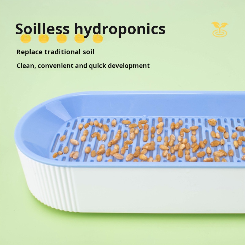 กล่องปลูกหญ้าแมวแบบไฮโดรโปนิกส - Hydroponic Grow Pod บทวิจารณ์และราคา