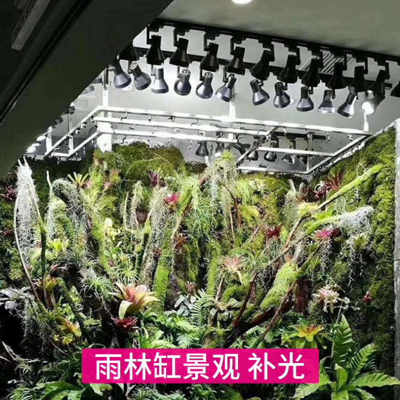 หลอดไฟ LED แบบ Full Spectrum ส - Plant Grow Light Full Spectrum บทวิจารณ์และราคา
