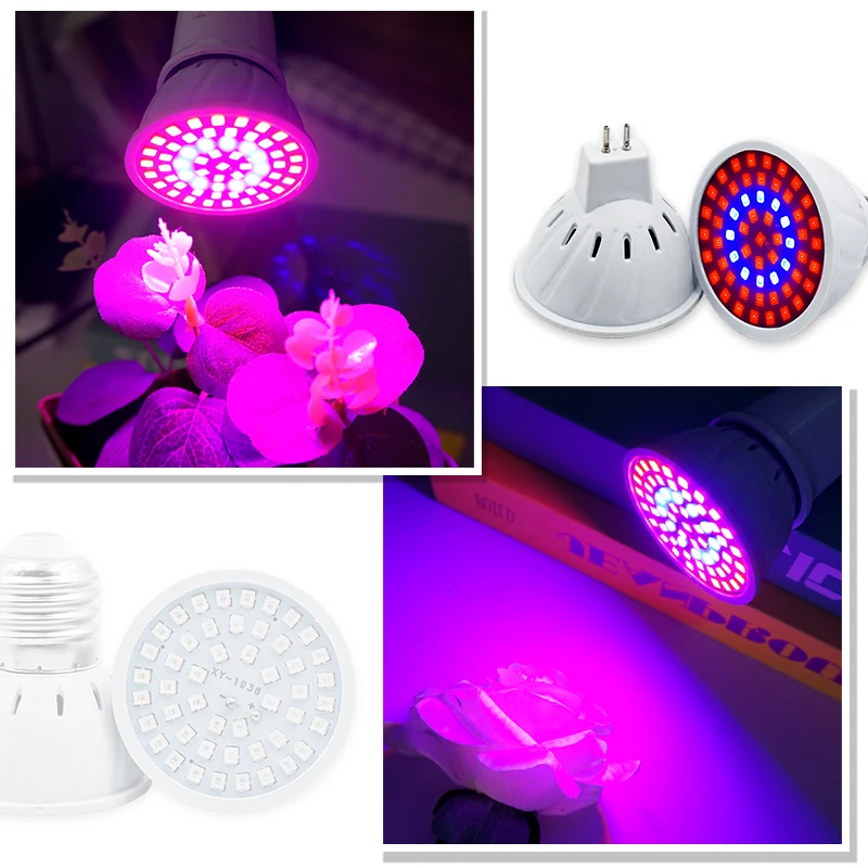 Phytoโคมไฟเต็มสเปกตรัมLED Grow - Plant Grow Light Full Spectrum บทวิจารณ์และราคา