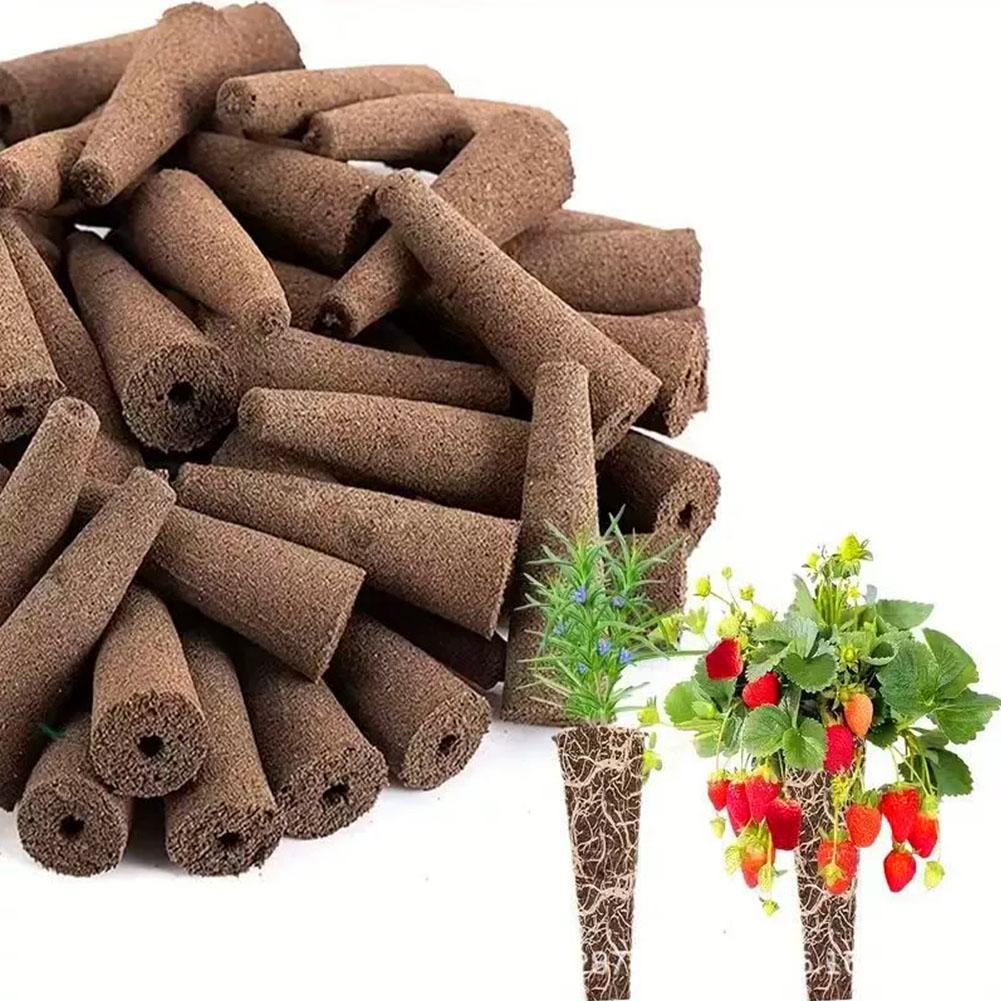 ฟองน้ำเพาะเมล็ด 50 ชิ้น สำหรับ - Aerogarden Seed Pod บทวิจารณ์และราคา