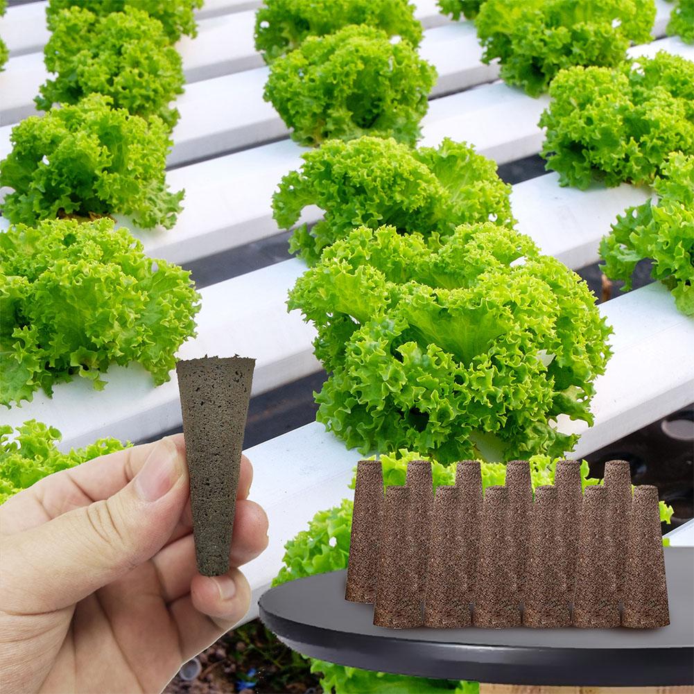 ฟองน้ำเพาะเมล็ด 50 ชิ้น สำหรับ - Aerogarden Seed Pod บทวิจารณ์และราคา