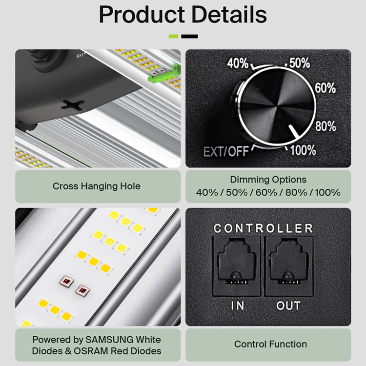 ให้ผลผลิตสูงสุดถึง 3.75 ปอนด์  - Plant Grow Light Full Spectrum บทวิจารณ์และราคา