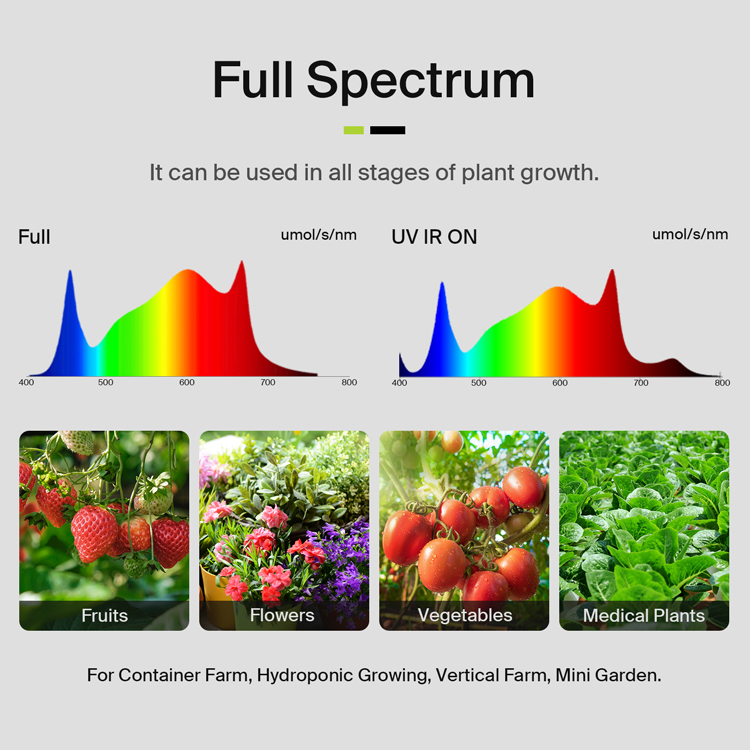 ให้ผลผลิตสูงสุดถึง 3.75 ปอนด์  - Plant Grow Light Full Spectrum บทวิจารณ์และราคา