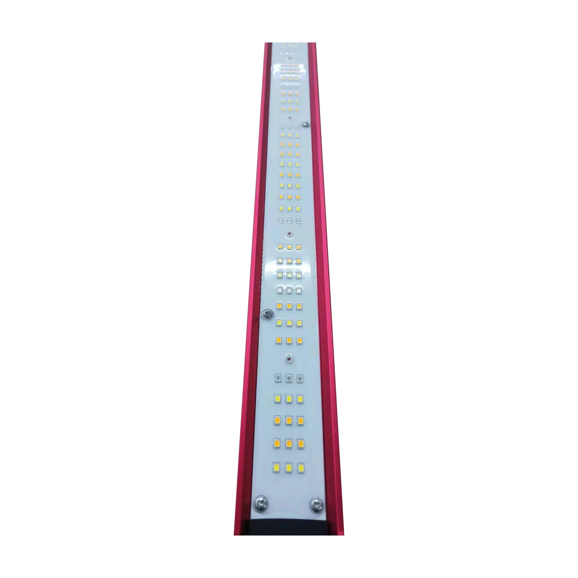 ไฟ LED สเปกตรัมเต็มสำหรับปลูกพ - Plant Grow Light Full Spectrum บทวิจารณ์และราคา