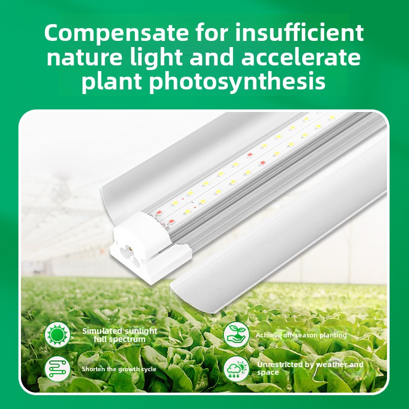 หลอดไฟ LED T8 สเปกตรัมเต็มสำหร - Plant Grow Light Full Spectrum บทวิจารณ์และราคา