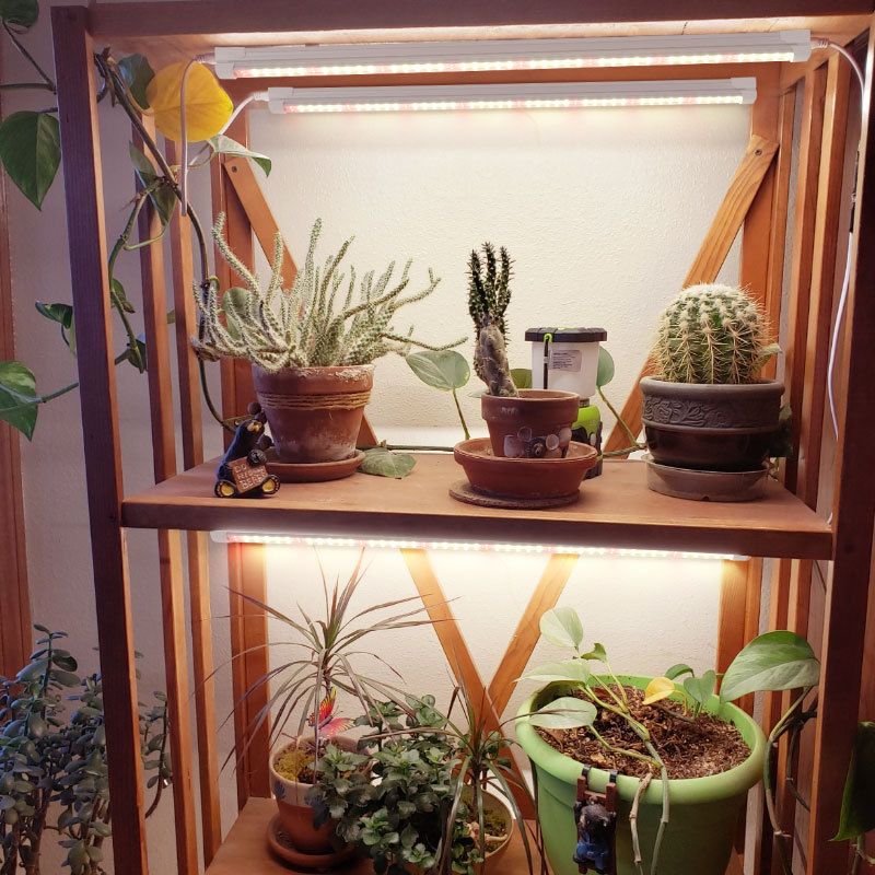 หลอดไฟ LED T8 สเปกตรัมเต็มสำหร - Plant Grow Light Full Spectrum บทวิจารณ์และราคา