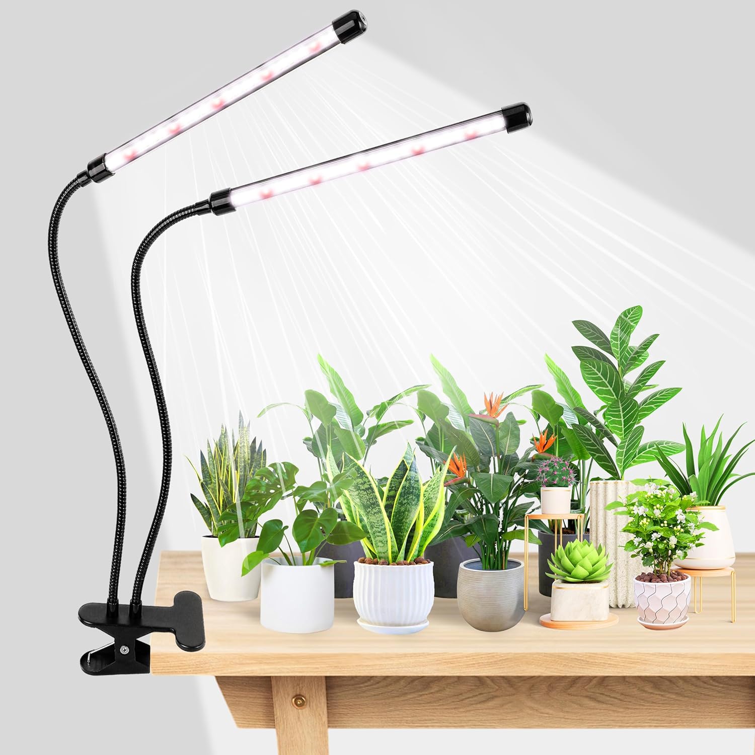 KEBINCPLED ไฟปลูกต้นไม้แบบหนีบ - Hydroponic Grow Pod บทวิจารณ์และราคา