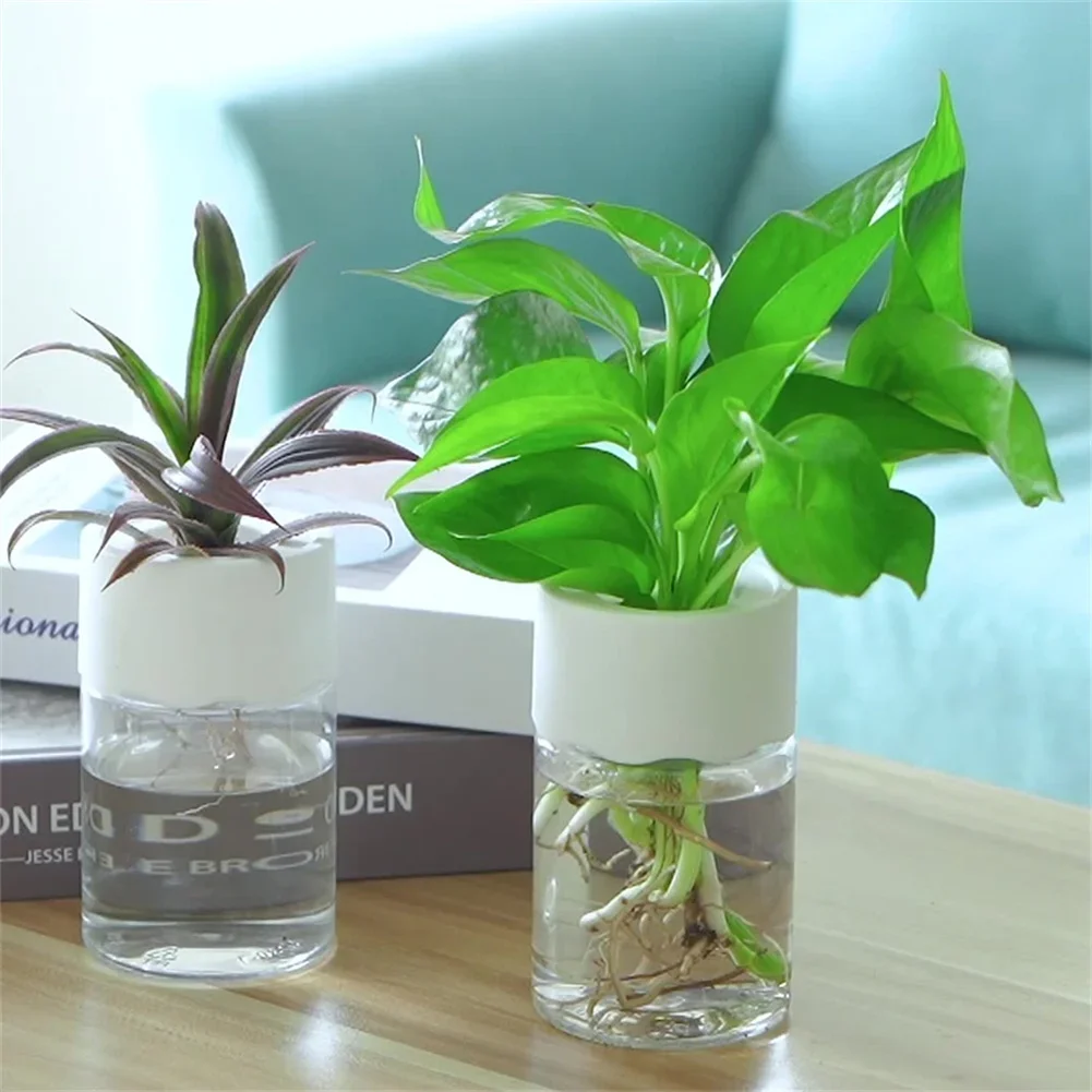 กระถางปลูกดอกไม้ไฮโดรโปนิกส์ขน - Hydroponic Grow Pod บทวิจารณ์และราคา