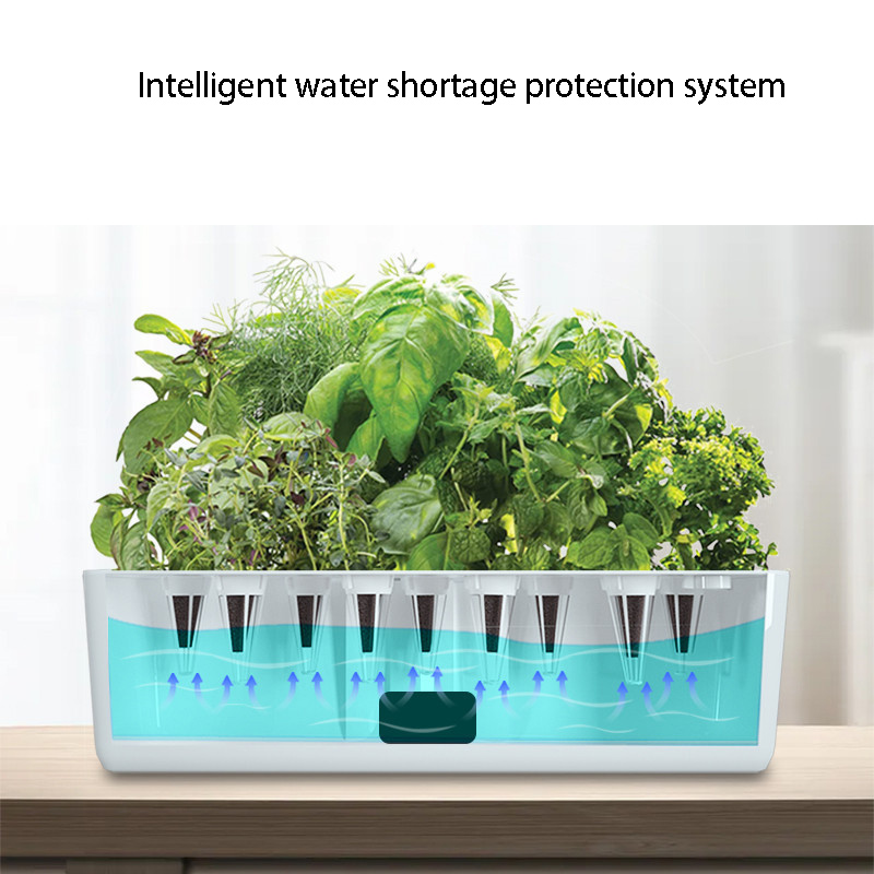 ระบบปลูกพืชไฮโดรโปนิกส์อัจฉริย - Smart Garden Domes บทวิจารณ์และราคา
