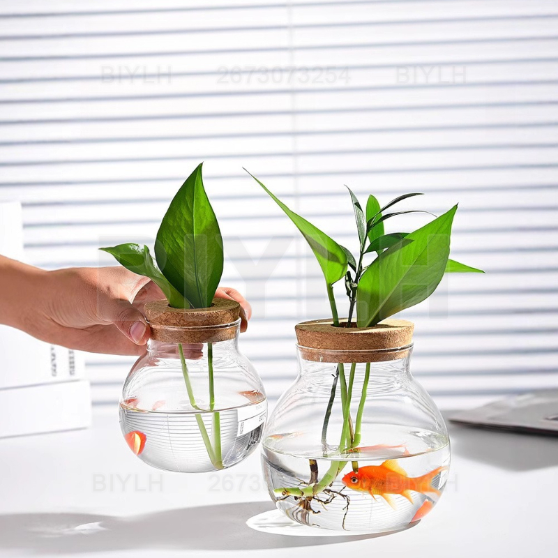 แจกันแก้วปลูกพืชแบบไฮโดรโปนิกส - Hydroponic Grow Pod บทวิจารณ์และราคา