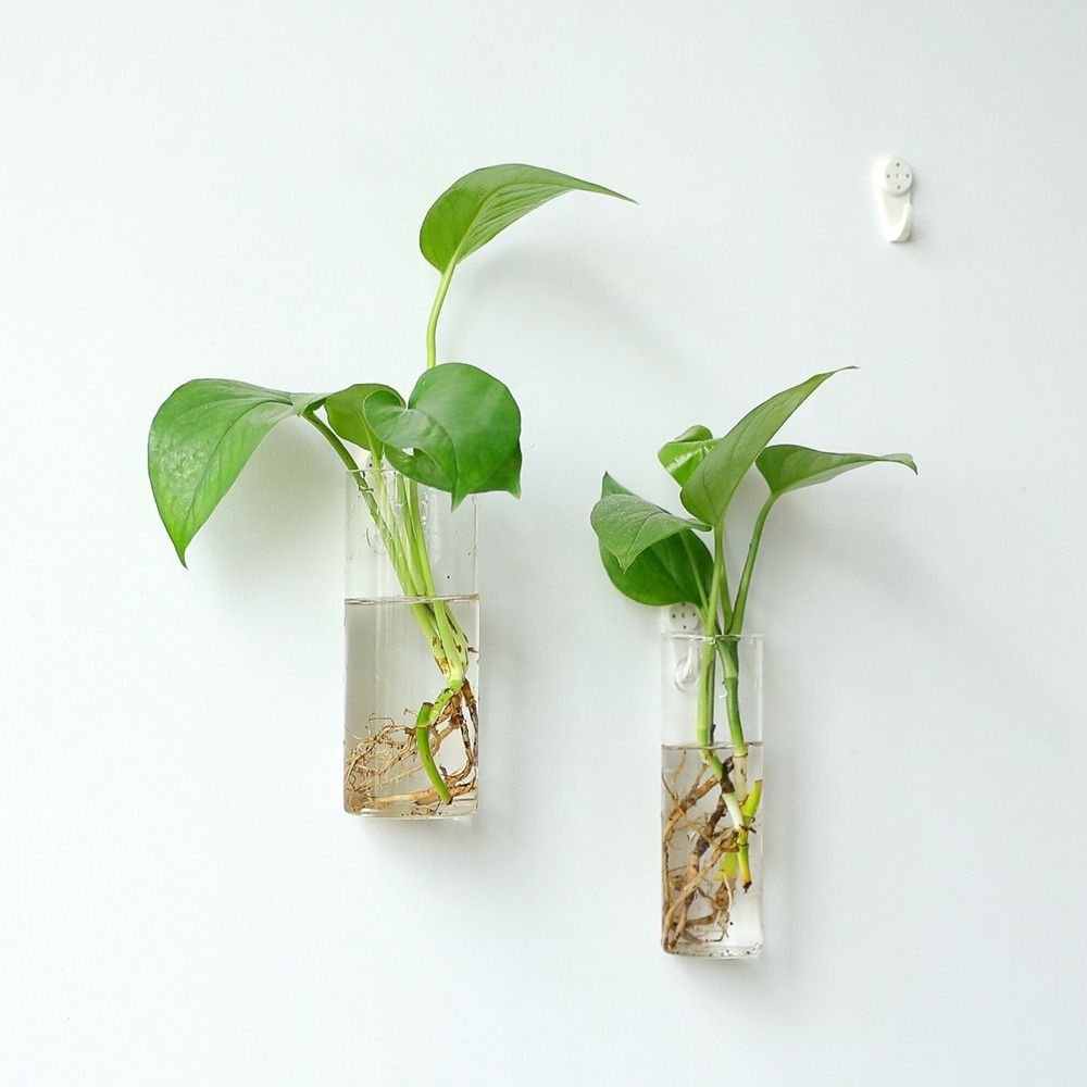 กระถางปลูกพืชไฮโดรโปนิกส์แบบติ - Hydroponic Grow Pod บทวิจารณ์และราคา