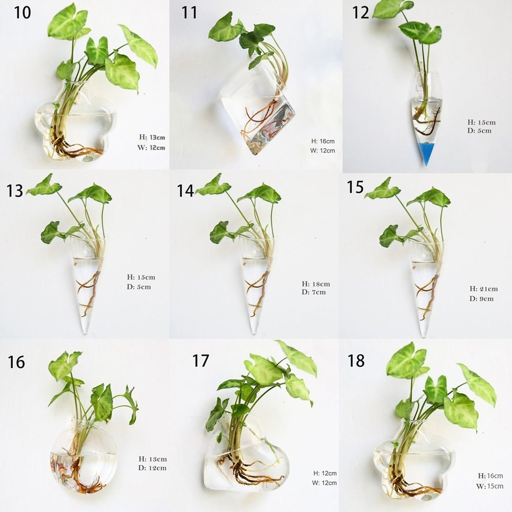 กระถางปลูกพืชไฮโดรโปนิกส์แบบติ - Hydroponic Grow Pod บทวิจารณ์และราคา