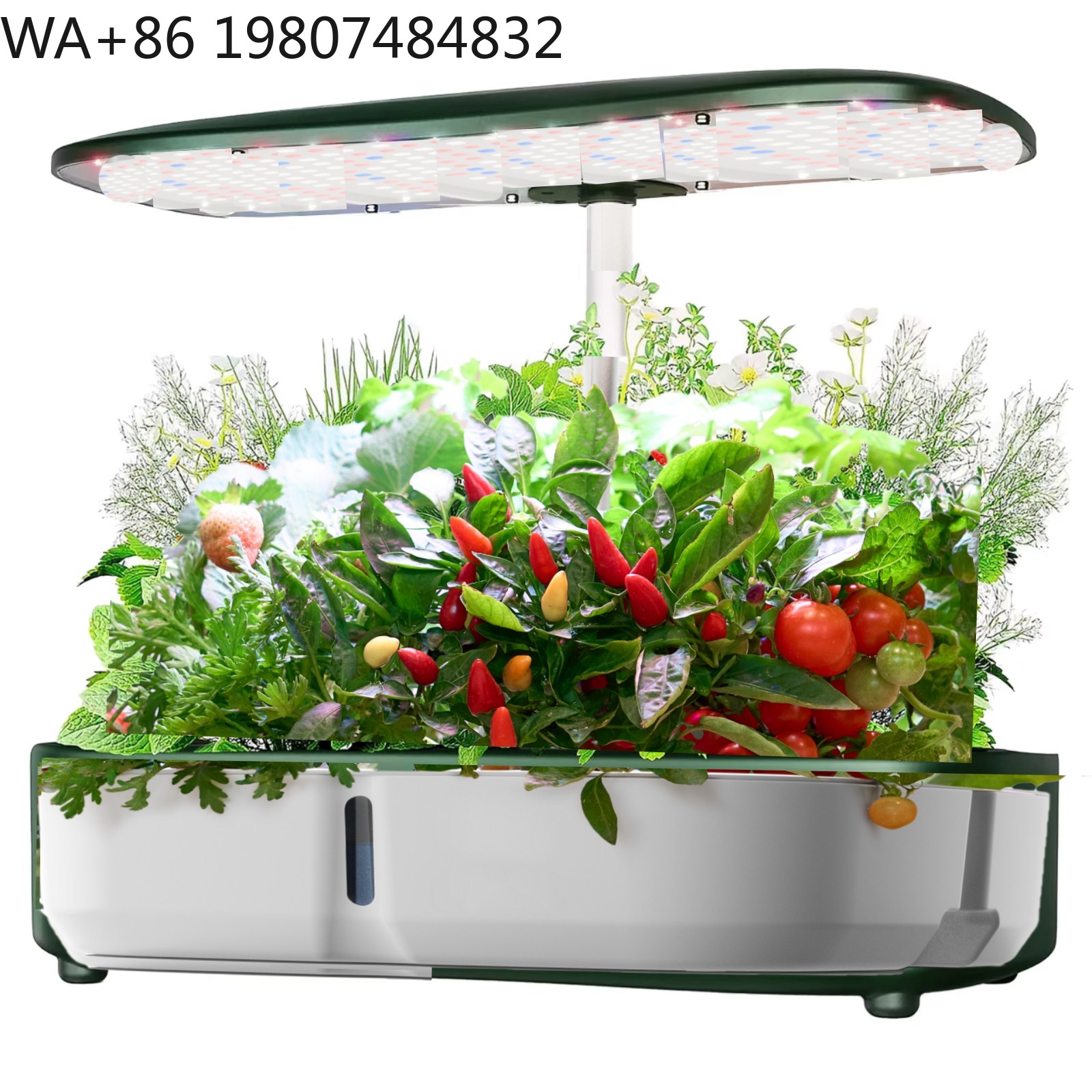 กล่องปลูกพืชไฮโดรโปนิกส์ขนาดเล - Hydroponic Grow Pod บทวิจารณ์และราคา