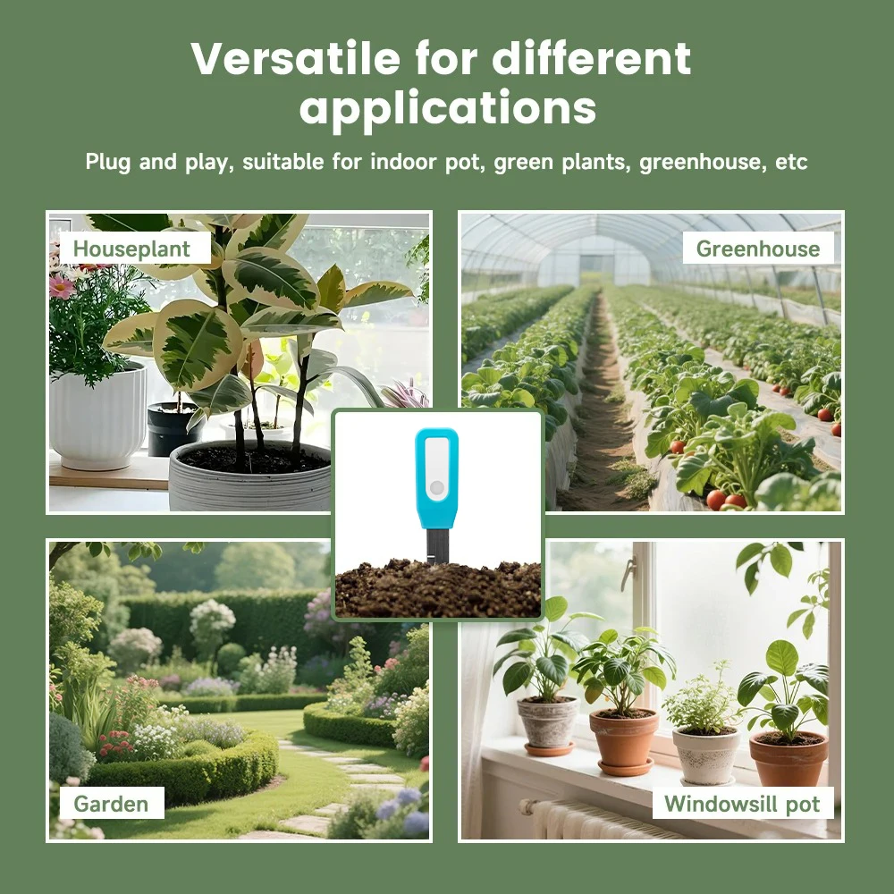 เซ็นเซอร์ทดสอบดินอัจฉริยะ BT T - Smart Garden Domes บทวิจารณ์และราคา
