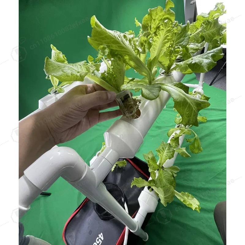 ระบบปลูกผักไฮโดรโปนิกส์แบบ NFT - Smart Garden Hanging Baskets บทวิจารณ์และราคา