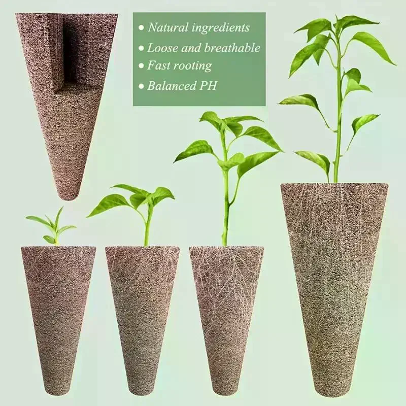 อุปกรณ์ปลูกพืชแบบไฮโดรโปนิกส์ท - Aerogarden Seed Pod บทวิจารณ์และราคา