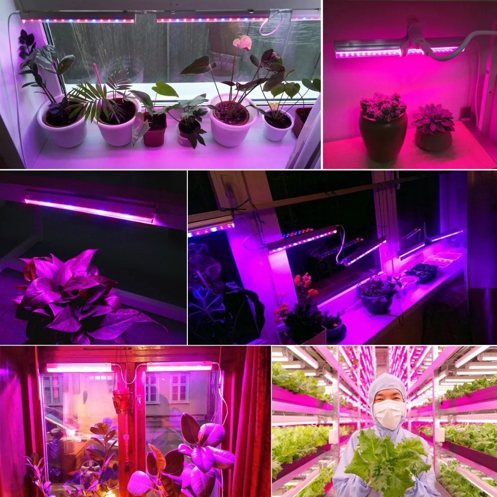 แถบไฟ LED ปลูกพืชขนาด 12 นิ้ว  - Plant Grow Light Full Spectrum บทวิจารณ์และราคา