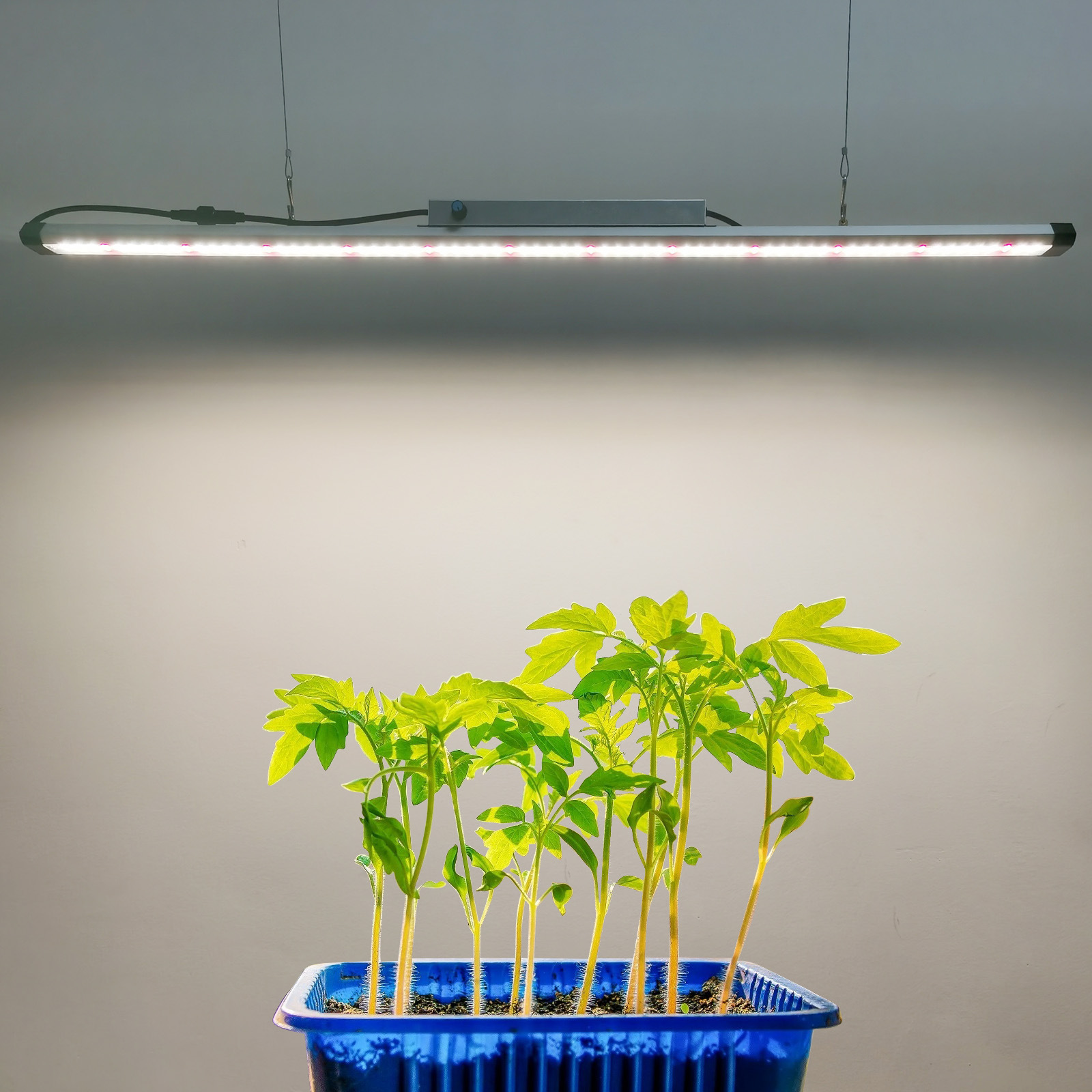 ไฟปลูกพืชแบบ LED สเปกตรัมเต็ม  - Plant Grow Light Full Spectrum บทวิจารณ์และราคา