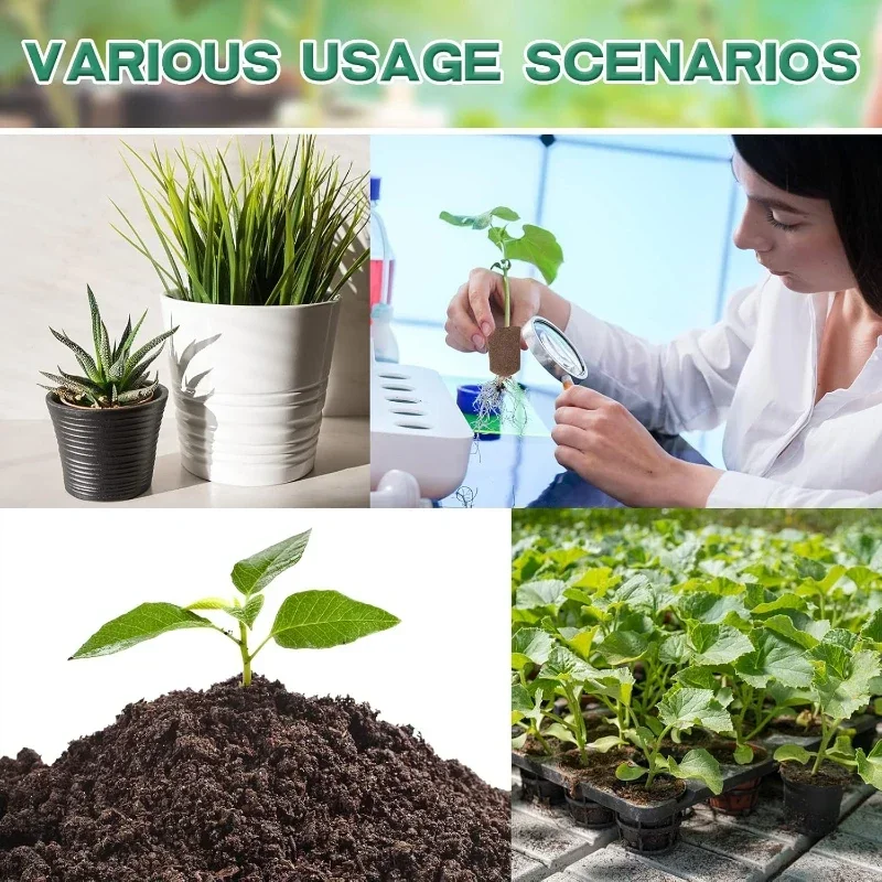 ชุดฟองน้ำเริ่มต้นการเพาะเมล็ดส - Hydroponic Grow Pod บทวิจารณ์และราคา