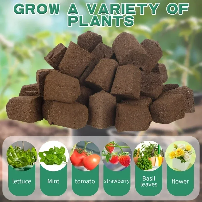 ชุดฟองน้ำเริ่มต้นการเพาะเมล็ดส - Hydroponic Grow Pod บทวิจารณ์และราคา