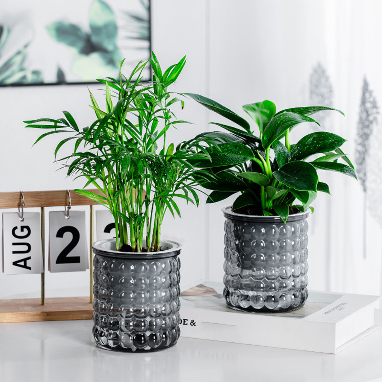 ใหม่ Self Watering พืช Hydropo - Hydroponic Grow Pod บทวิจารณ์และราคา
