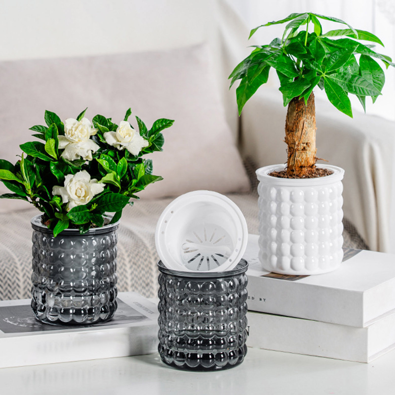 ใหม่ Self Watering พืช Hydropo - Hydroponic Grow Pod บทวิจารณ์และราคา