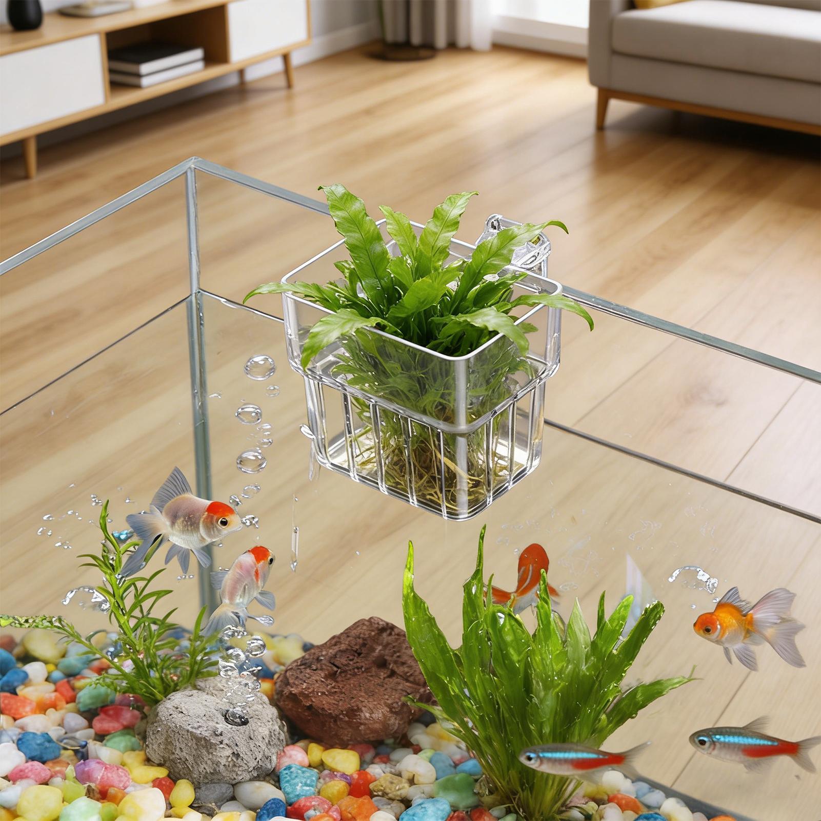 กระถางแขวนใสสำหรับตู้ปลา ที่แข - Hydroponic Grow Pod บทวิจารณ์และราคา