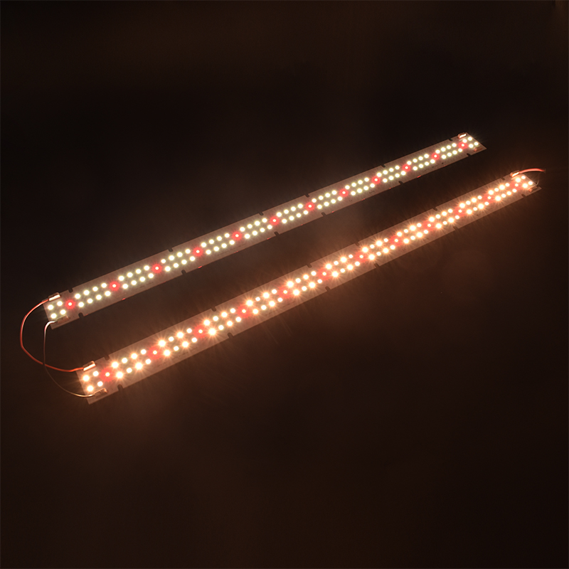 ไฟปลูกพืชแบบ COB LED คุณภาพสูง - Plant Grow Light Full Spectrum บทวิจารณ์และราคา