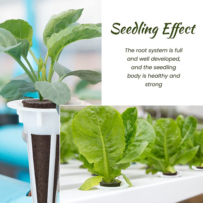 50/100pcs Plant Grow ตะกร้าสํา - Aerogarden Seed Pod บทวิจารณ์และราคา