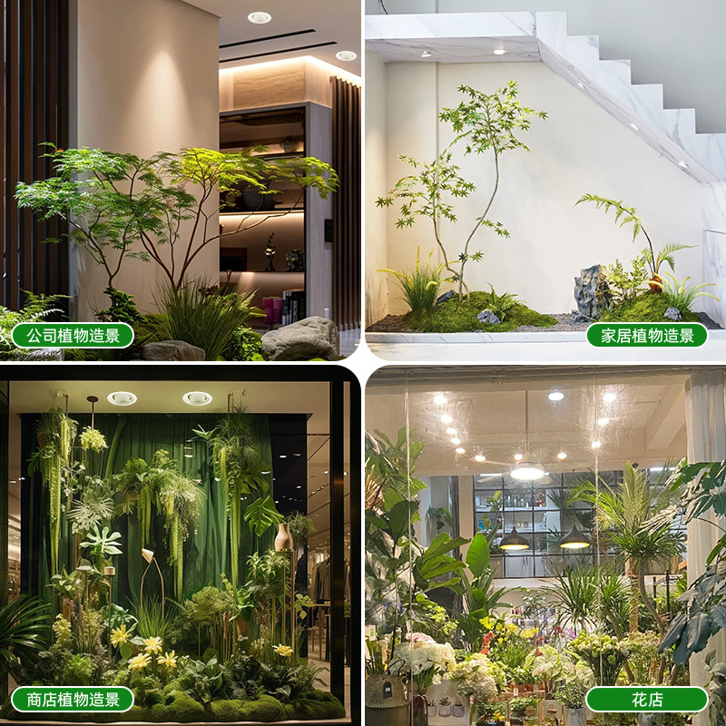 ไฟปลูกต้นไม้แบบ LED ฟูลสเปกตรั - Plant Grow Light Full Spectrum บทวิจารณ์และราคา