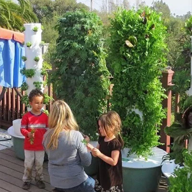 หอปลูกพืชไฮโดรโปนิกส์แนวตั้งแบ - Hydroponic Grow Pod บทวิจารณ์และราคา