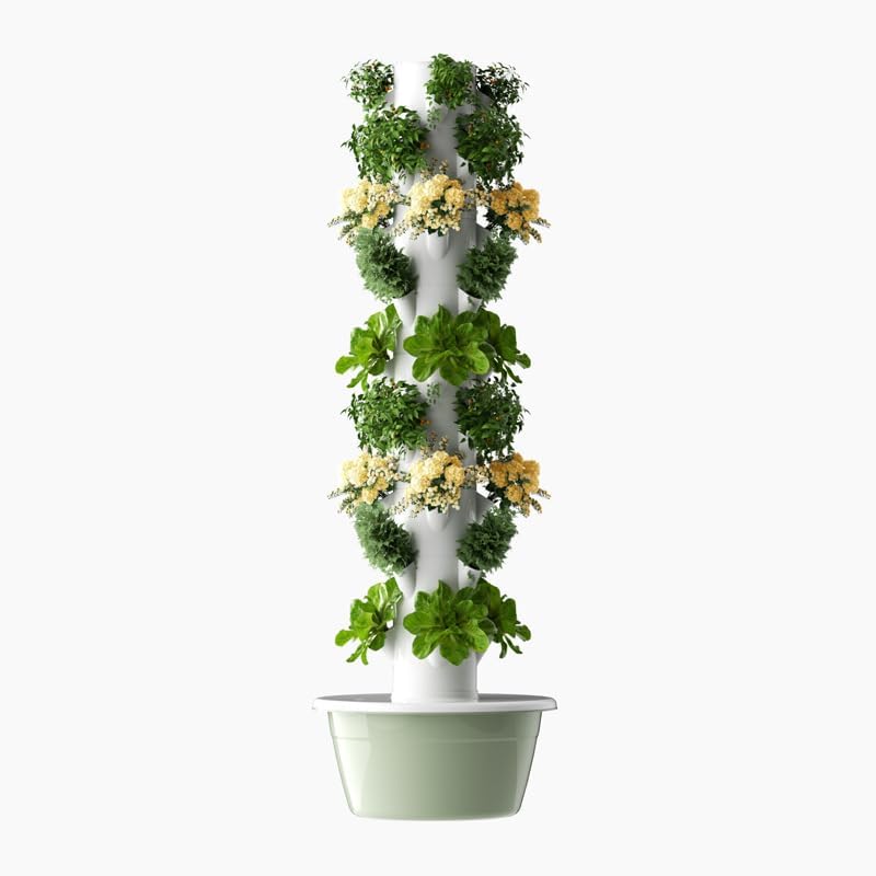 หอปลูกพืชไฮโดรโปนิกส์แนวตั้งแบ - Hydroponic Grow Pod บทวิจารณ์และราคา