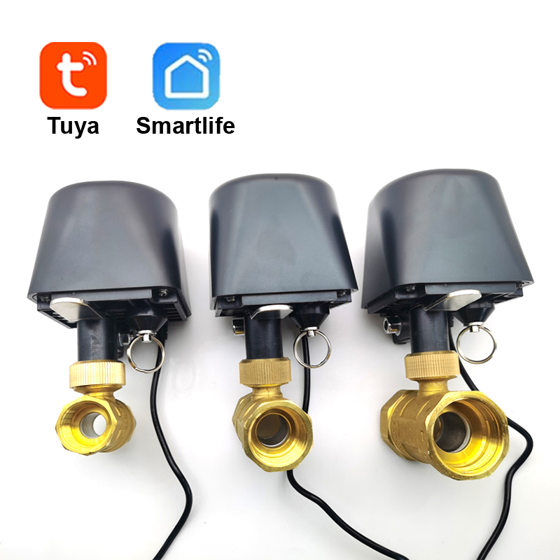 Tuya WiFi หรือ Zigbee วาล์วน้ํ - Smart Garden Water Timer บทวิจารณ์และราคา